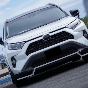 RAV4 MXAA54