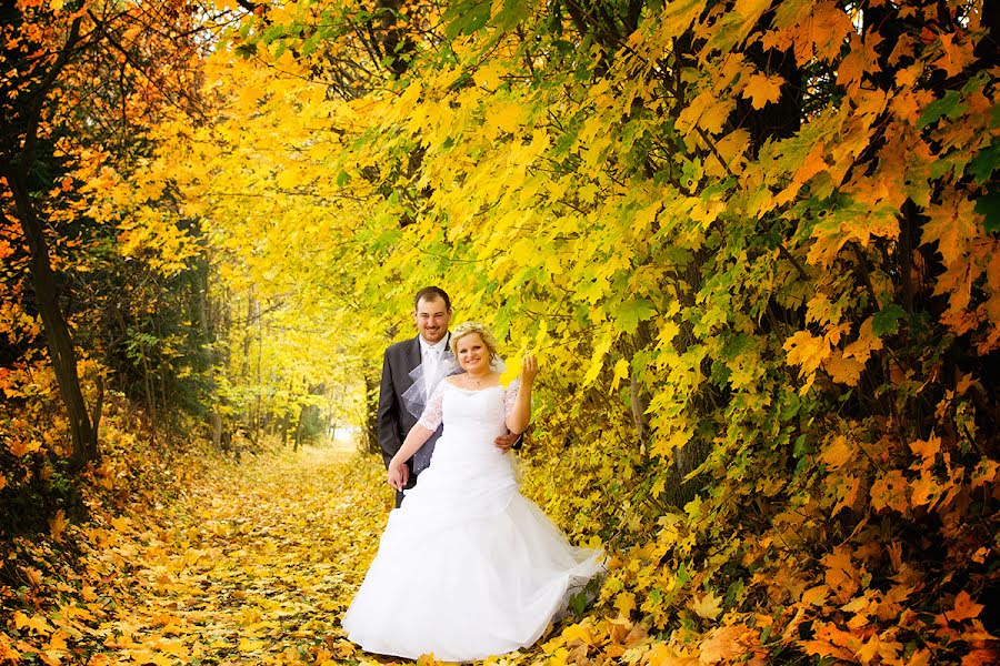 Photographe de mariage Ondřej Klein (ondrej). Photo du 2 février 2019