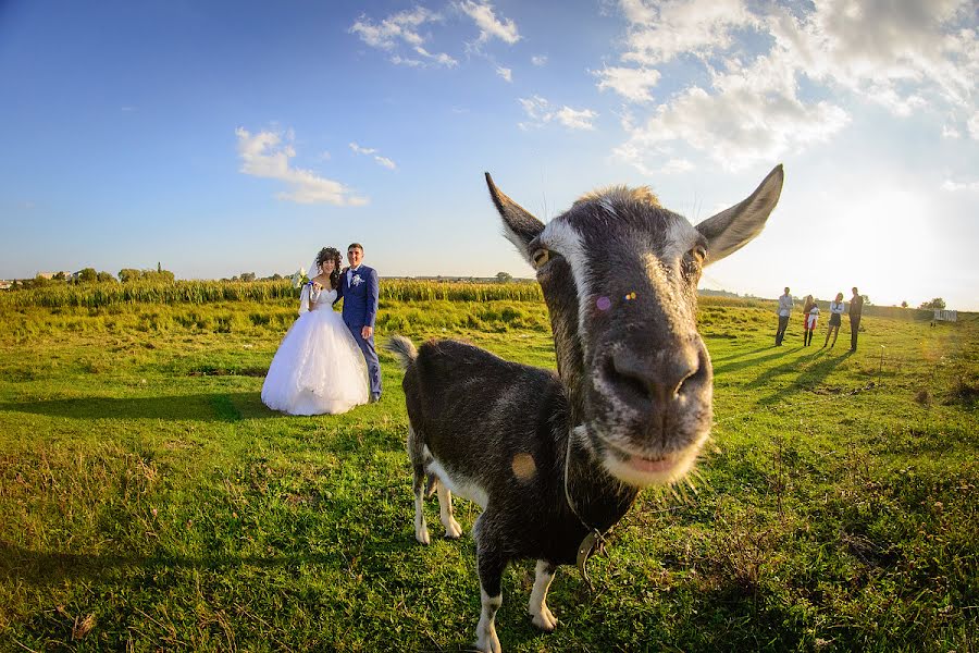 Photographe de mariage Volodimir Lesik (tsembel). Photo du 12 juillet 2019