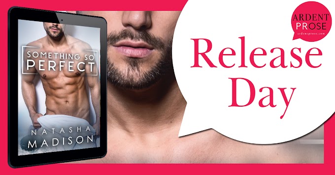 Release Day Blitz - Something So Perfect by Natasha Madison