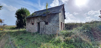 terrain à Balazé (35)