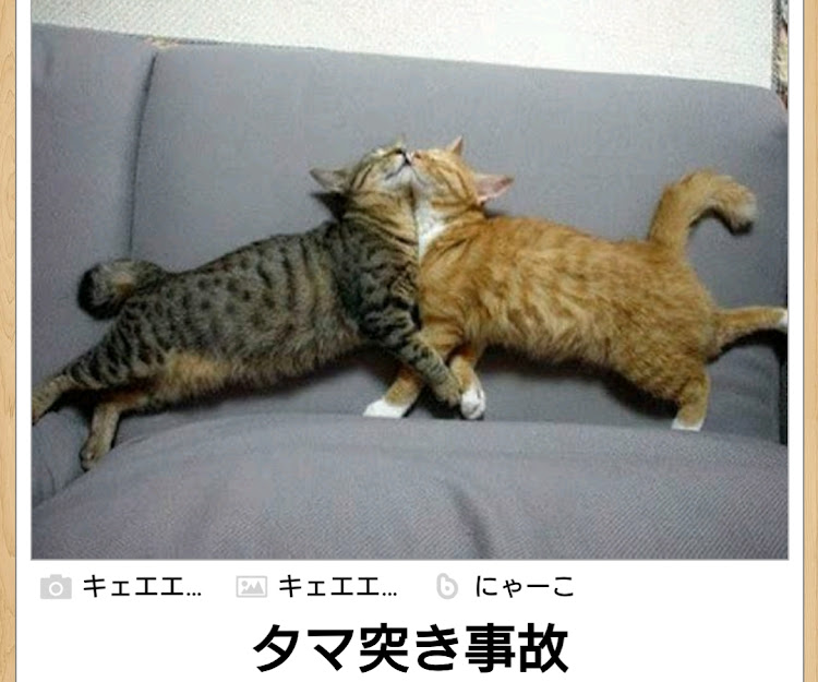 の投稿画像3枚目