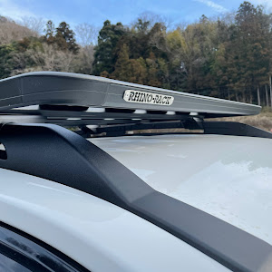 RAV4 MXAA54
