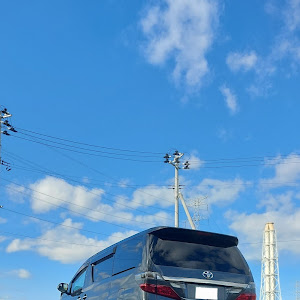ヴェルファイア ANH20W