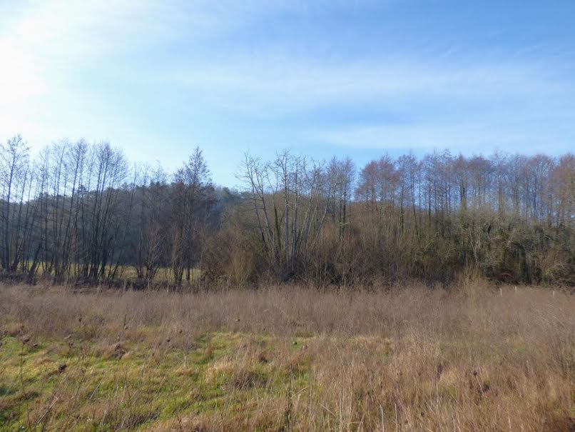 Vente terrain  6848 m² à Queyssac (24140), 19 000 €