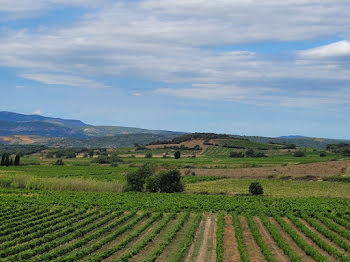 terrain à Montner (66)