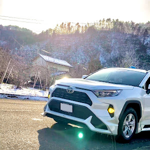 RAV4 ACA31W