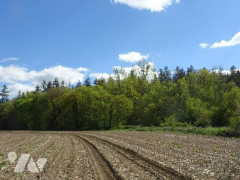 terrain à Arçonnay (72)