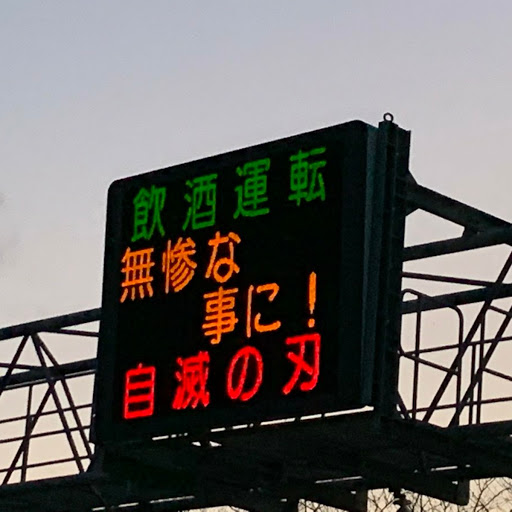 さとちゃんのプロフィール画像