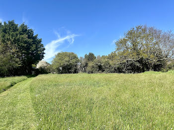 terrain à Sarzeau (56)