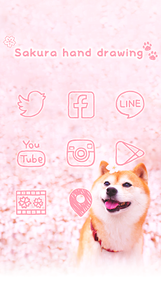 かわいいきせかえ壁紙 柴犬のお花見 Androidアプリ Applion