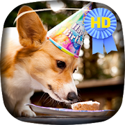 Dog Eats Like A Person LiveWP 2.0 Icon