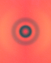 SPECTRUM 170