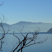 Avvolti dalla nebbia... di 