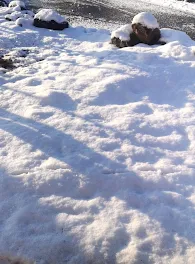 雪が積もりました☁❄⛄❄☁