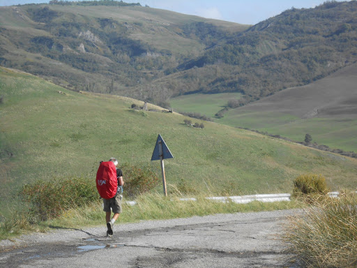 Via Francigena 2015