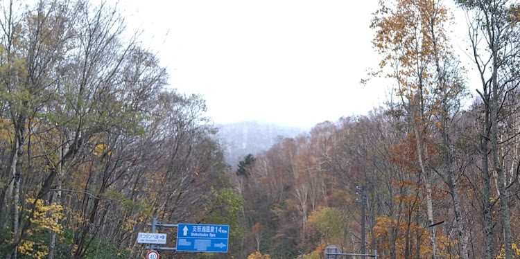 コルトラリーアートバージョンRの支笏湖・紅葉・雨に関するカスタム事例の投稿画像3枚目