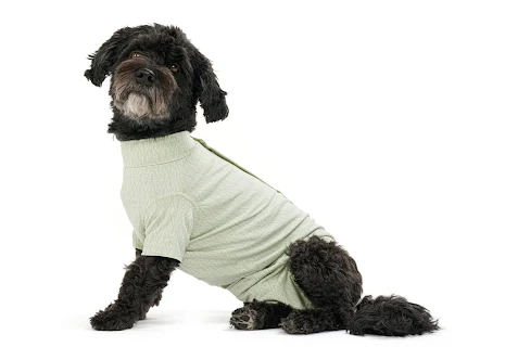 BUSTER Body Suit Stepn Go For Dogs, XS-XL, Dusty Green