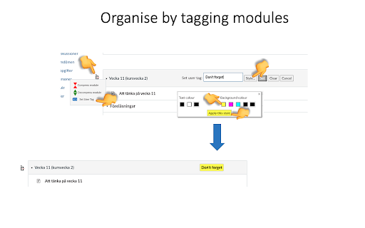 Canvas Modules Organiser