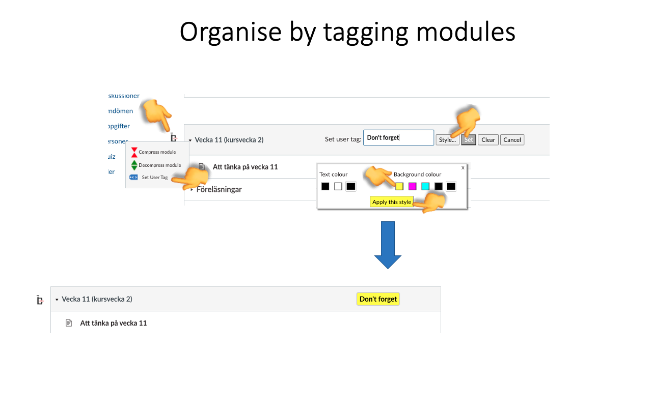 Canvas Modules Organiser Preview image 1