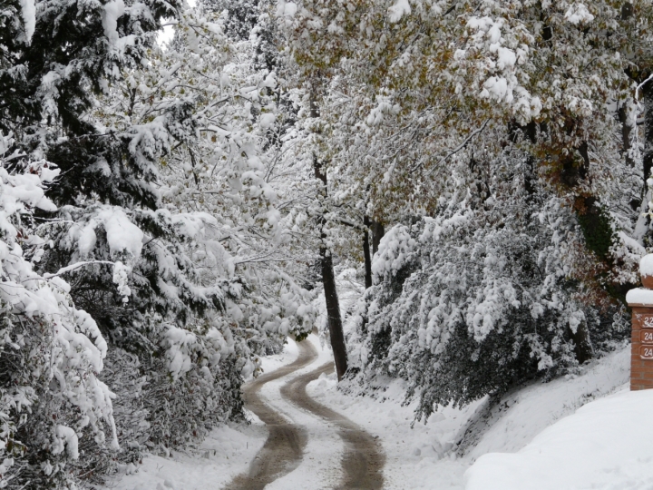 Tracce invernali di Teddy