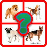 Guess the dog breed  Icon