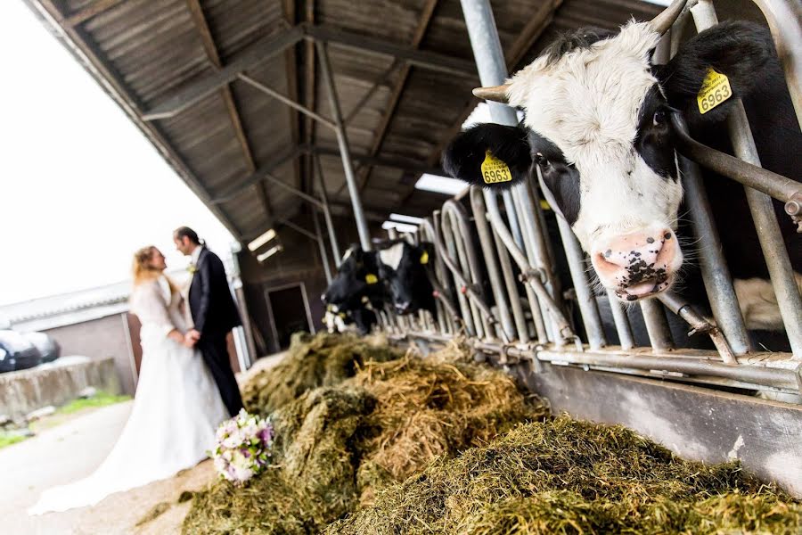 Huwelijksfotograaf Dian Koning-Appelman (diansfotografie). Foto van 7 maart 2019