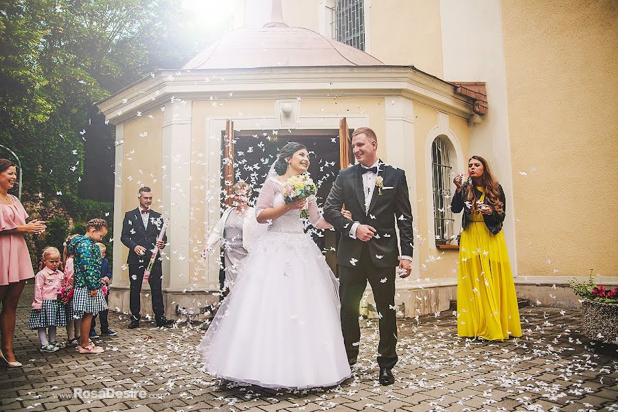 Wedding photographer Izabela Rosa (izabelarosa). Photo of 25 February 2020