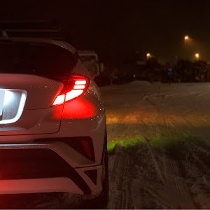 C-HR NGX10