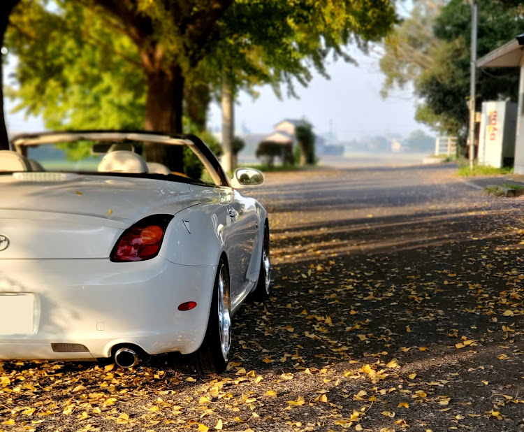ソアラのオープンカー・紅葉ドライブ・投稿の秋に関するカスタム事例の投稿画像8枚目