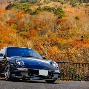 911 クーペ カレラS