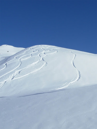 Ah, la neve! di utente cancellato