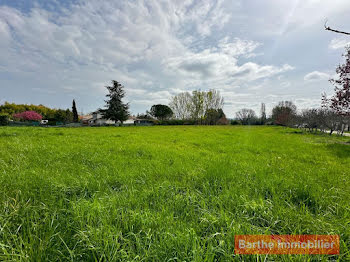 terrain à Gaillac (81)