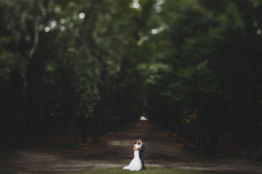 Fotógrafo de bodas Tolik Boev (tolikboev). Foto del 2 de julio 2015