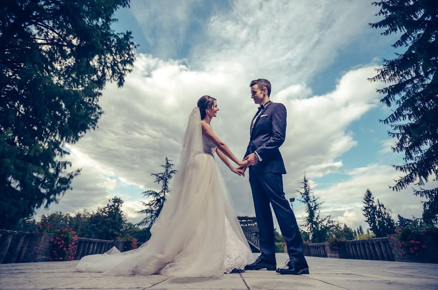 結婚式の写真家Aleksandar Stojanovic (stalexphotograp)。2017 10月13日の写真