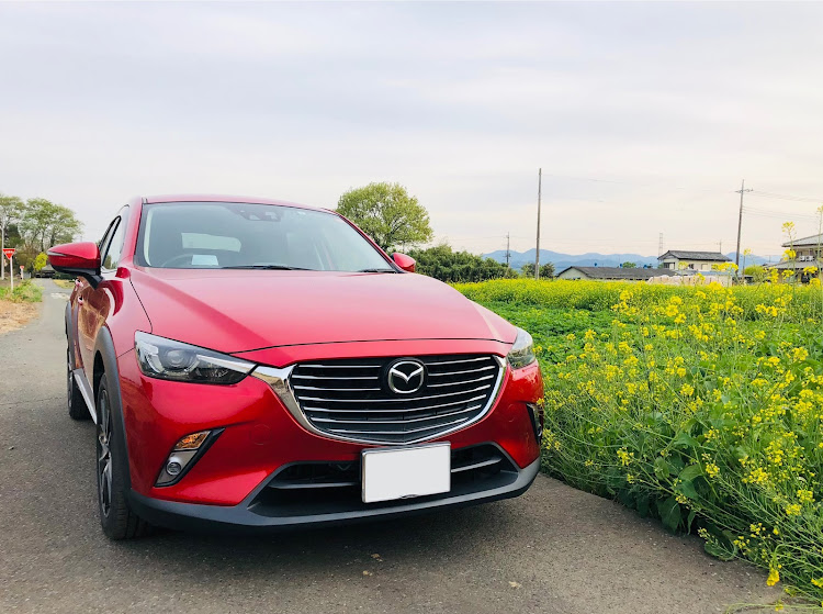 CX-3のすずちゃんさんが投稿したカスタム事例の投稿画像1枚目