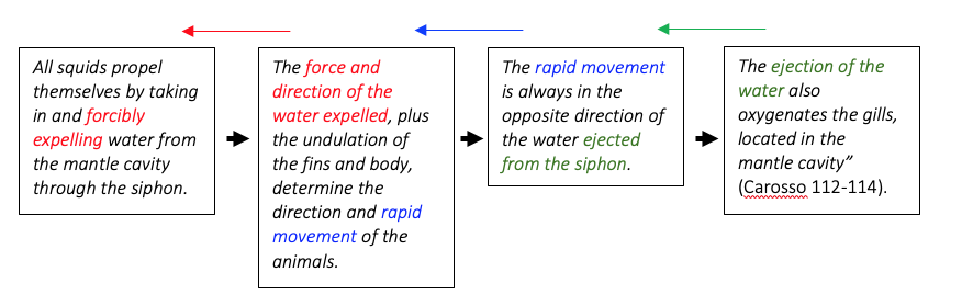 Sentence Pattern 2-1.png