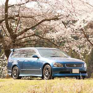 ステージア M35