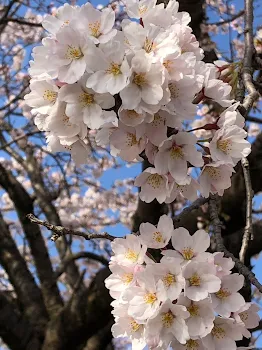 いつもありがとう！