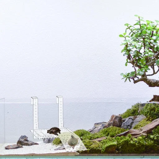 Hangable Reptile Ladder Resting Terrace Acrylic Turtle Basking Platform Multipurpose Reptiles Ramp For Turtles Climbing 