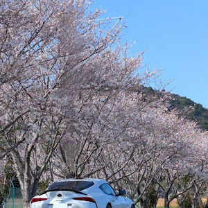 スープラ DB06