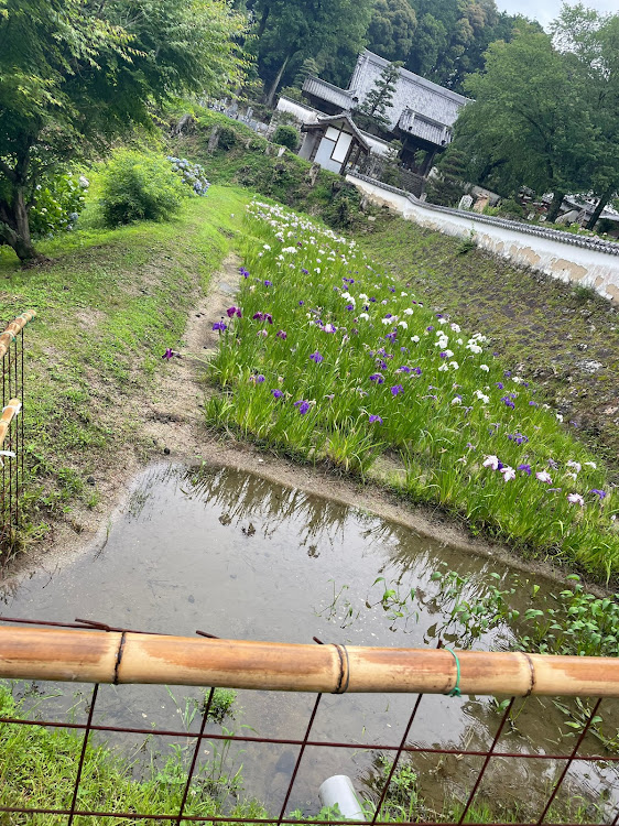 パッソの松平郷園地・松平東照宮に関するカスタム事例の投稿画像2枚目
