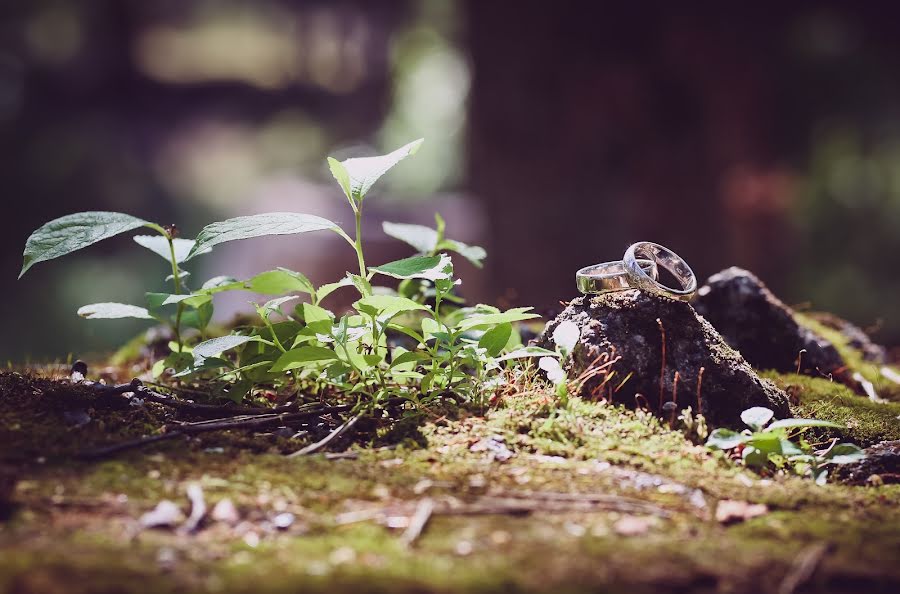 Весільний фотограф Александра Мазур (isgerdmazur). Фотографія від 6 жовтня 2019