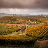 Le Langhe  di 