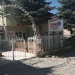 International Play School (Preschool / Kreş)