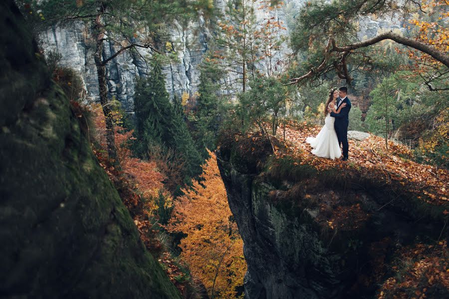 Fotograf ślubny Oleksandr Ladanivskiy (ladanivskyy). Zdjęcie z 7 listopada 2015