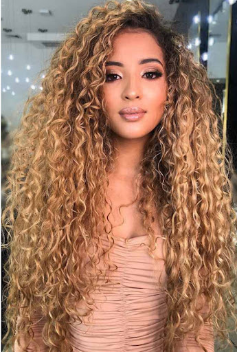 Title 5, Ladies Long Curly Hair Wig African Small Curls ...