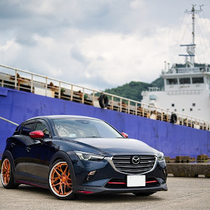 CX-3 DKEFW