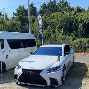 LS GVF55