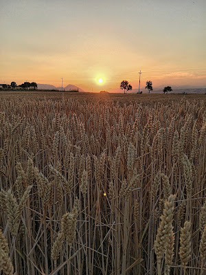 Il Dio Sole  di PasqualeDeBellis